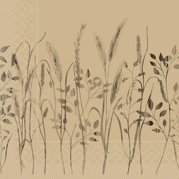 82427 web