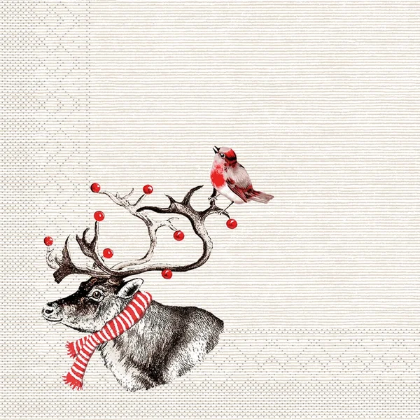 101124 0 web