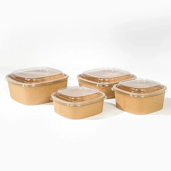 68893 68896 Salatschale quadratisch gorup web