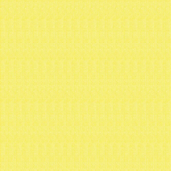 SAN 66277 Basic Giallo web