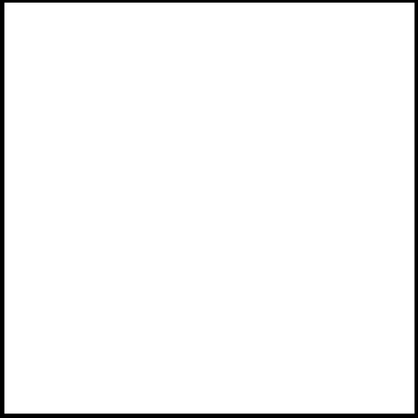 FAS 24x24 weiss web
