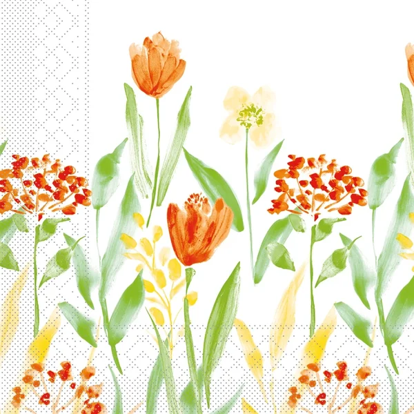 82570 selma 109660 web