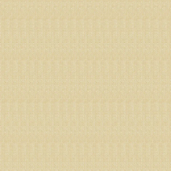 SAN 66271 Basic Champagner web
