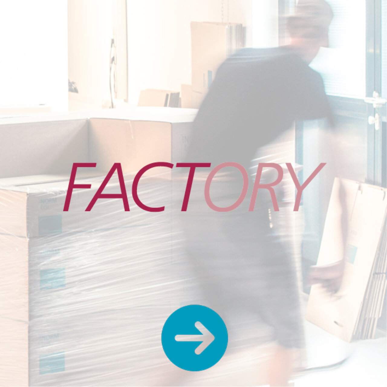 Lgoo Factory